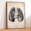 Charger l'image dans la galerie, Lungs anatomy poster
