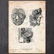 Laden Sie das Bild in den Galerie-Viewer, Face anatomy art
