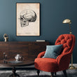 Charger l'image dans la galerie, Skull anatomy art
