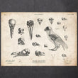 Laden Sie das Bild in den Galerie-Viewer, Bird skulls art print
