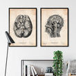 Charger l'image dans la galerie, Neurology poster
