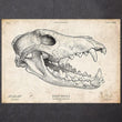 Laden Sie das Bild in den Galerie-Viewer, Wolf skull art print
