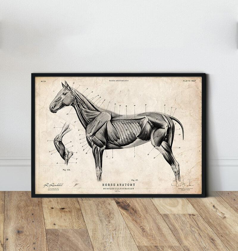 Cheval en bois à décorer - Animaux en bois Cheval en bois à décorer - Animaux en bois
