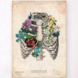 Load image into Gallery viewer, Rib cage art print
