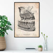 Charger l'image dans la galerie, Vintage dental anatomy poster - Dental Anatomy - Codex Anatomicus
