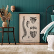 Charger l'image dans la galerie, Spine vintage anatomy poster by Codex Anatomicus
