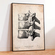 Laden Sie das Bild in den Galerie-Viewer, Vertebrae anatomy poster
