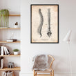 Charger l'image dans la galerie, Tableau d'anatomie de la colonne vertébrale
