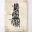 Charger l'image dans la galerie, Foot anatomy poster
