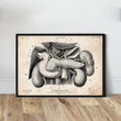 Laden Sie das Bild in den Galerie-Viewer, Pancreas, liver and gallbladder vintage anatomy poster
