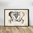 Laden Sie das Bild in den Galerie-Viewer, Female pelvis anatomy vintage poster
