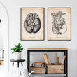 Charger l'image dans la galerie, Anatomy art print
