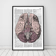 Charger l'image dans la galerie, Brain anatomy dictionary print
