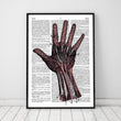 Charger l'image dans la galerie, Hand anatomy dictionary art print
