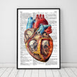 Charger l'image dans la galerie, Heart anatomy art
