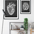 Charger l'image dans la galerie, Heart anatomy art poster
