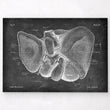 Charger l'image dans la galerie, Liver anatomy poster
