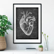 Charger l'image dans la galerie, Heart anatomy drawing on chalkboard texture
