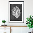 Charger l'image dans la galerie, Anatomical heart drawing on chalkboard texture
