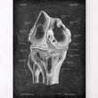 Charger l'image dans la galerie, Knee anatomy art print
