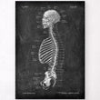 Charger l'image dans la galerie, Skeleton sagittal view art print
