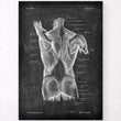 Charger l'image dans la galerie, Back muscles anatomy poster
