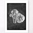 Charger l'image dans la galerie, Medulla oblongata anatomy print
