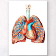 Charger l'image dans la galerie, Heart and lungs art poster
