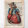 Charger l'image dans la galerie, Heart anatomy dictionary print
