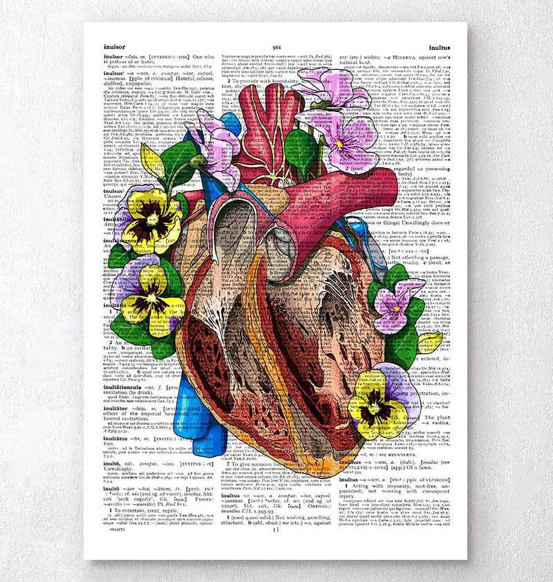 Heart with flowers poster - Codex Anatomicus