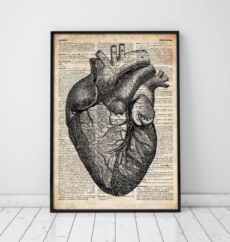 Heart anatomy medical art print - dictionary page – Codex Anatomicus