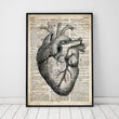 Load image into Gallery viewer, Heart anatomy art II - Old dictionary page
