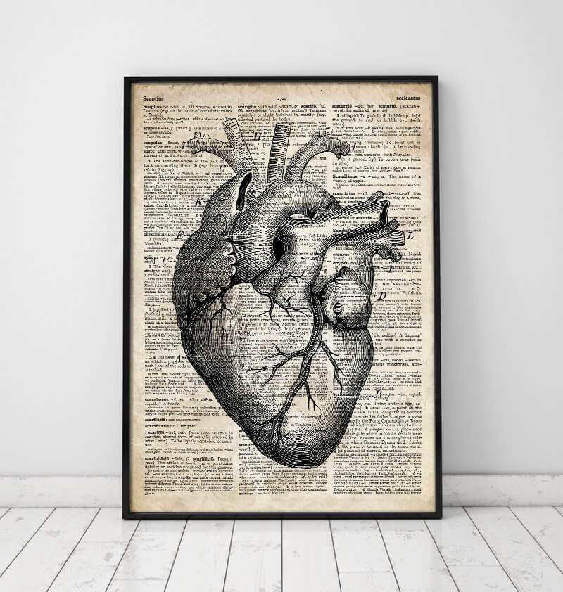 Heart anatomy art II - Old dictionary page – Codex Anatomicus