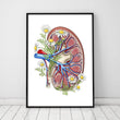 Charger l'image dans la galerie, Kidney anatomy poster with flowers in a frame
