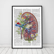 Charger l'image dans la galerie, Floral kidney anatomy poster - Codex Anatomicu
