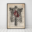 Charger l'image dans la galerie, rib cage anatomy poster on dictionary page
