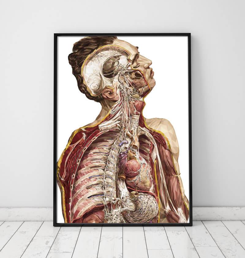 Human anatomy dictionary art print – Codex Anatomicus
