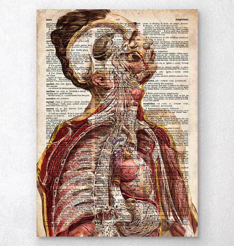 アナトミー 2 Human anatomy dictionary art print – Codex Anatomicus
