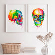 Laden Sie das Bild in den Galerie-Viewer, Skull anatomy poster

