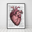 Charger l'image dans la galerie, Heart anatomy dictionary art print in a black frame
