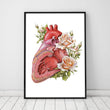 Load image into Gallery viewer, floral anatomical heart poster
