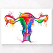 Load image into Gallery viewer, Uterus anatomy poster
