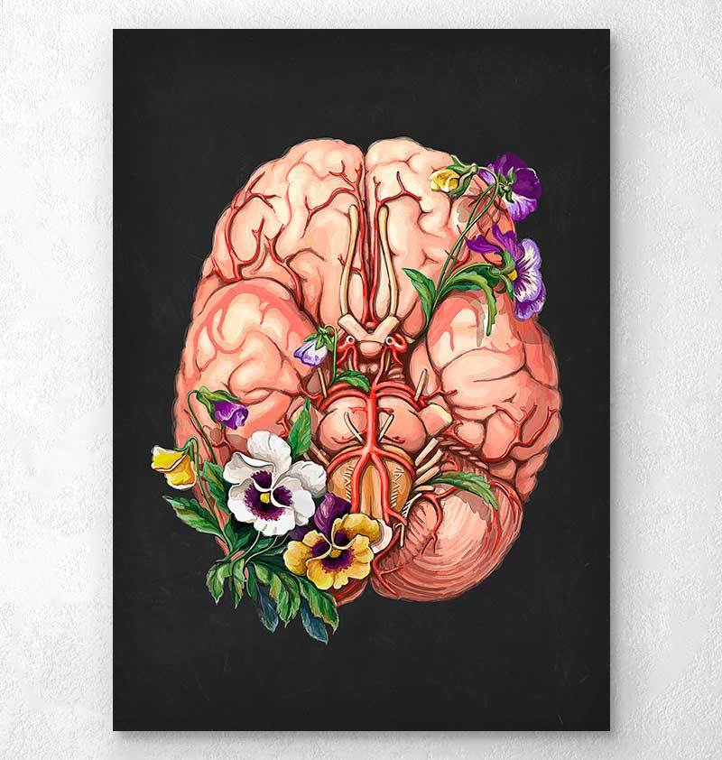 Floral brain anatomy art print - Anatomy Art - Codex Anatomicus