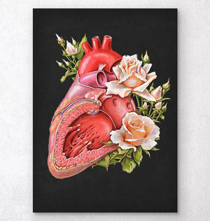 Floral heart anatomy art print - Codex Anatomicus