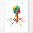 Charger l'image dans la galerie, Bacteriophage poster
