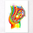 Charger l'image dans la galerie, Fetus in a womb anatomy
