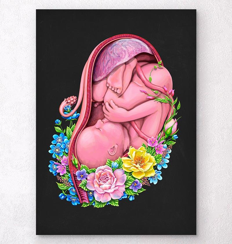 絵画 the memory in the womb Fetus in a womb anatomy art print – Codex Anatomicus