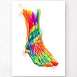 Charger l'image dans la galerie, Ankle anatomy poster
