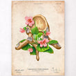 Load image into Gallery viewer, Thoracic vertebrae anatomy poster
