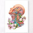 Charger l'image dans la galerie, Neck anatomy poster
